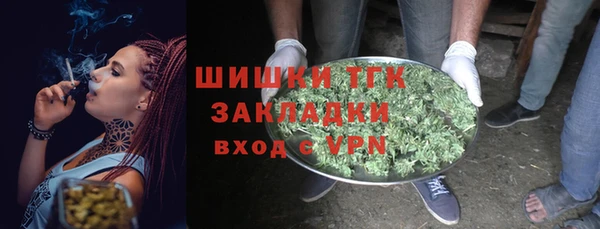 индика Магадан