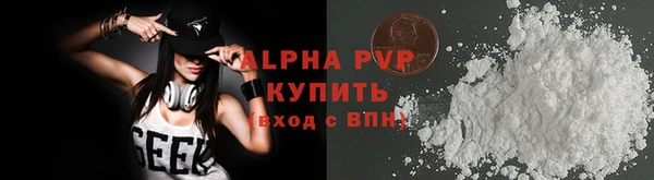 индика Магадан