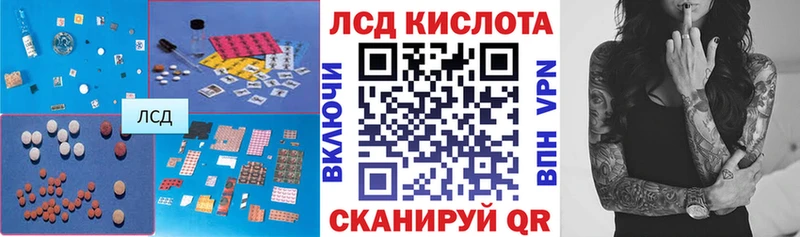 купить   Дмитриев  Лсд 25 экстази кислота 