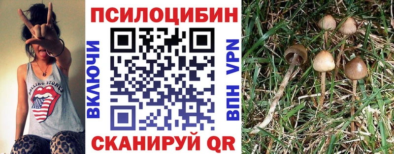 где продают   Дмитриев  Псилоцибиновые грибы GOLDEN TEACHER 